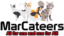 MarCateers: Your Trusted Webmaster Service Provider